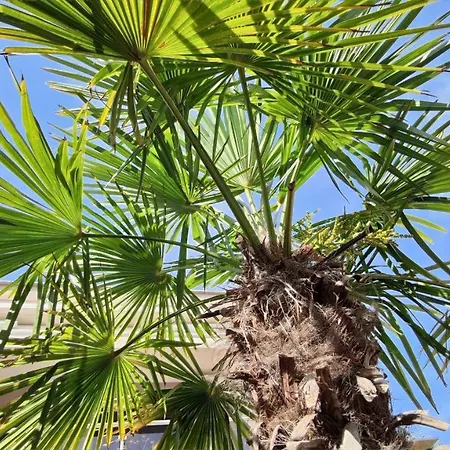 Kristina With Private Patio Dom wakacyjny *