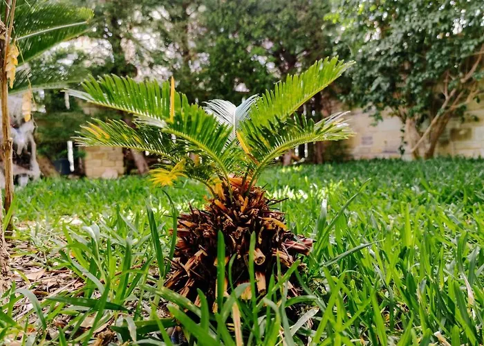 Kristina With Private Patio Tatil Evi *